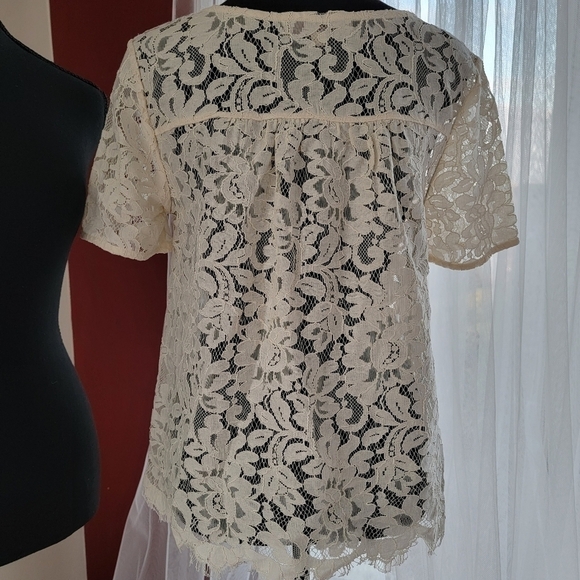 𝅺lace Overlay Loft Short Sleeve Crewneck Shirt Size XS EUC - Picture 3 of 11